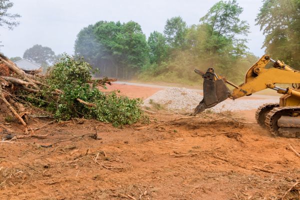 Ground Clearing in Oroville
