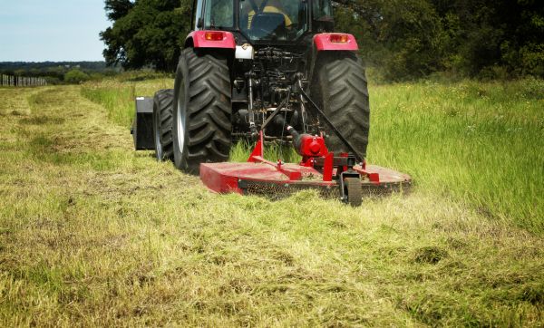 Brush Clearing Service in Oroville