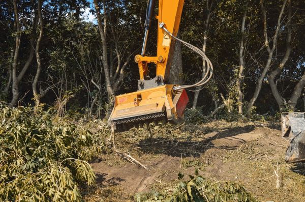 Brush Removal Service in Oroville
