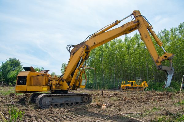 Cost of Farm Clearing in Oroville