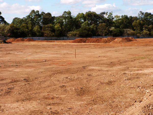Cost of Field Clearing in Oroville