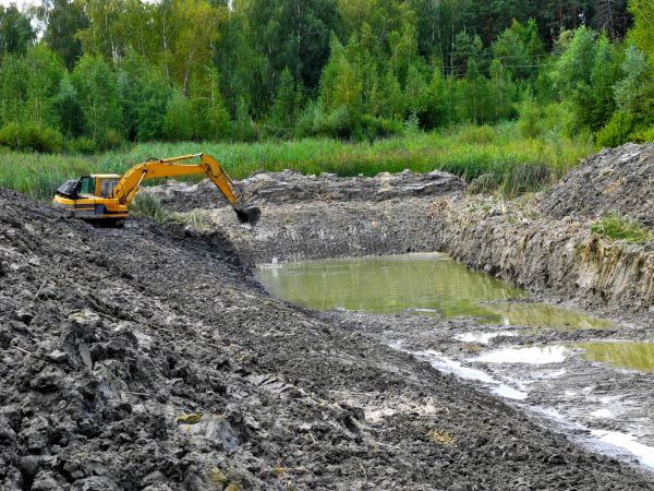 Cost of Lake Lot Clearing in Oroville