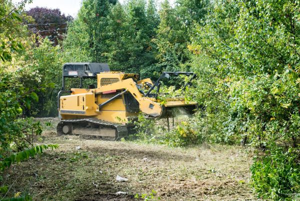 Cost of Pathway Clearing in Oroville