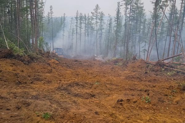 Cost of Hill Clearing in Oroville