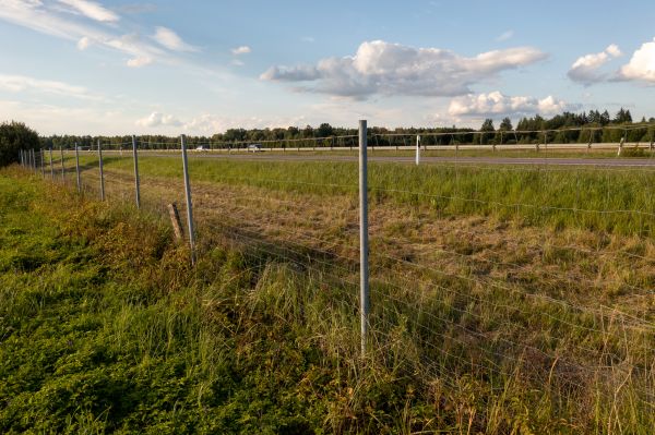 Cost of Property Line Clearing in Oroville