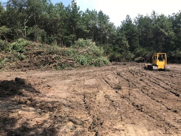 Cost of Thicket Clearing in Oroville