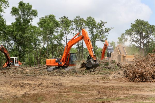 Cost of Commercial Lot Clearing in Oroville