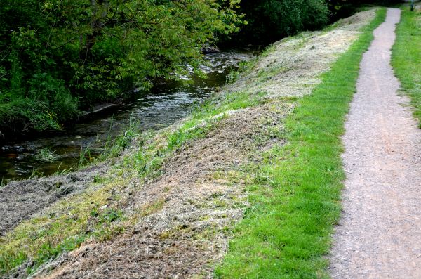 Cost of Trail Cutting in Oroville