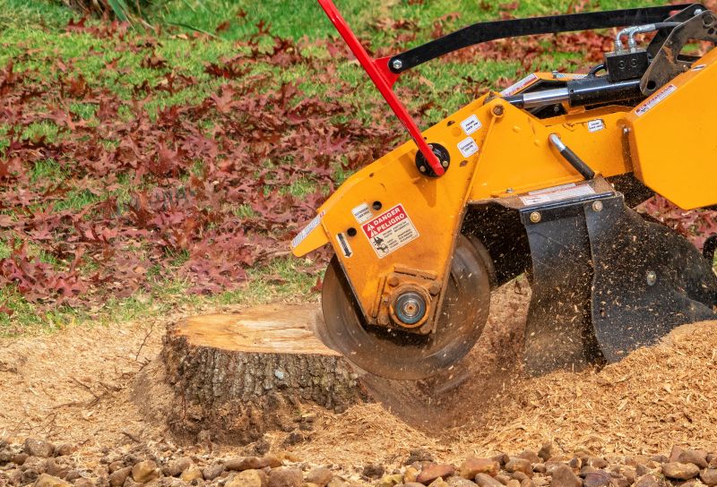 Stump Grinding Machines
