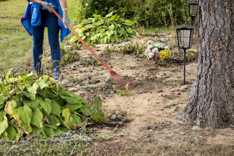Efficient Land Clearing Process